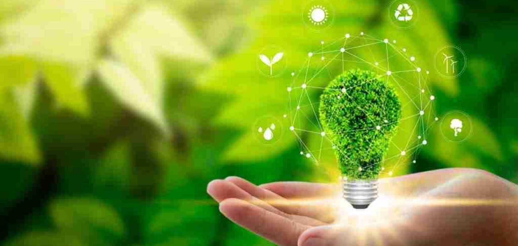 Bioenergy is a Renewable Energy Stocks
