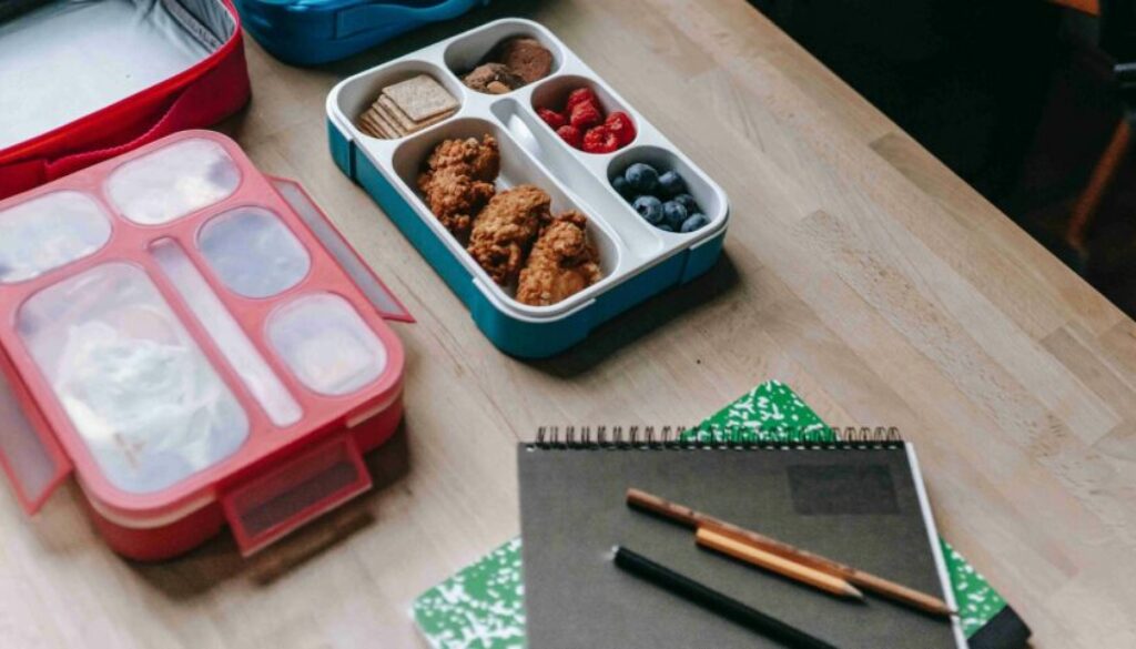 Healthy School Lunch Ideas for kids