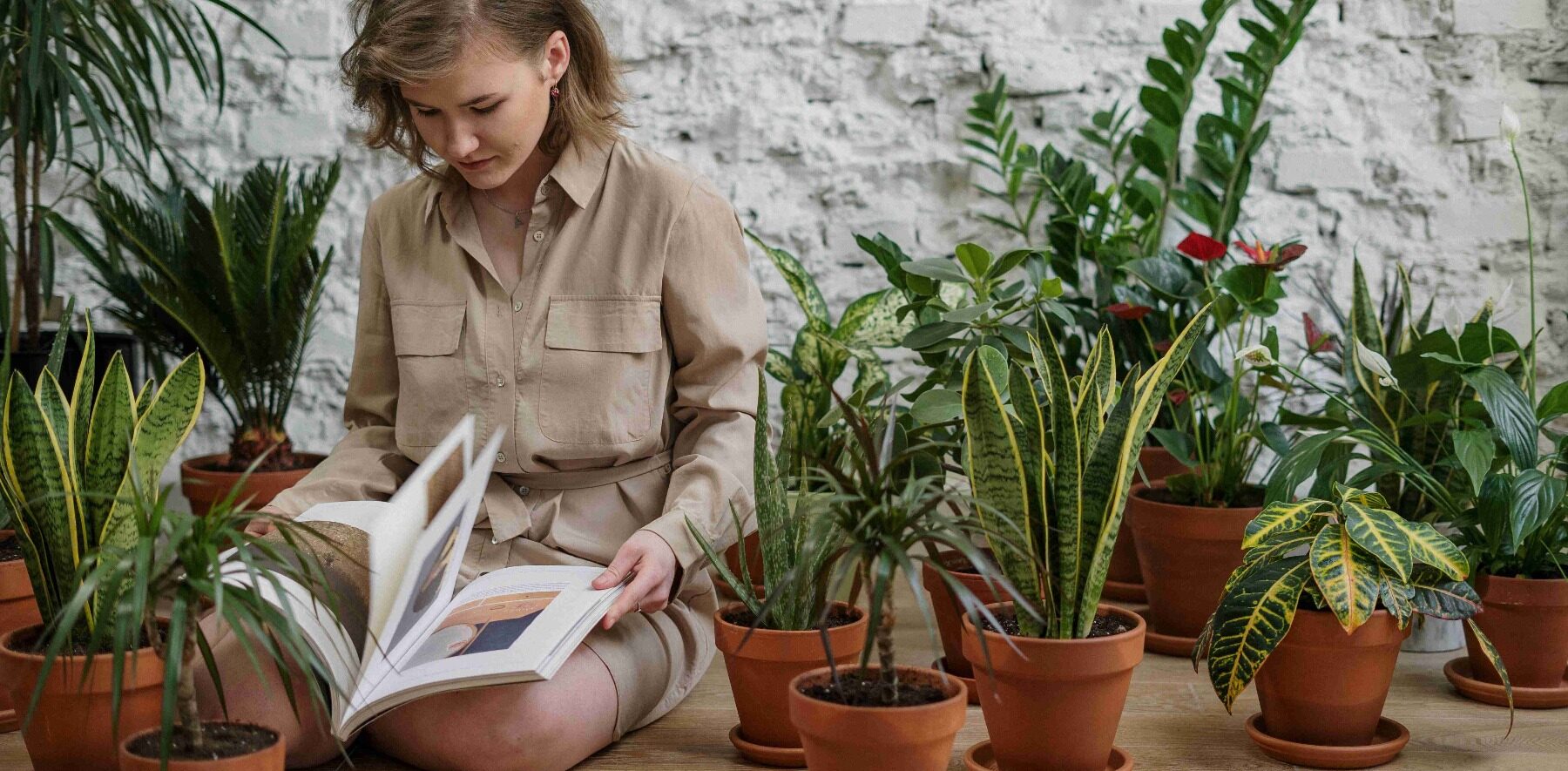 Gardening books