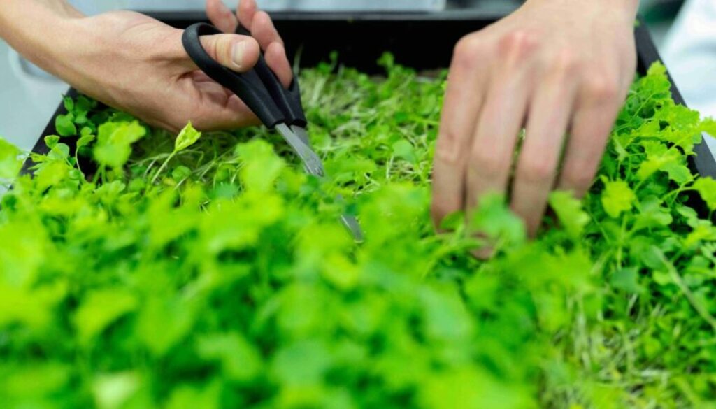 Sustainable Living Benefits