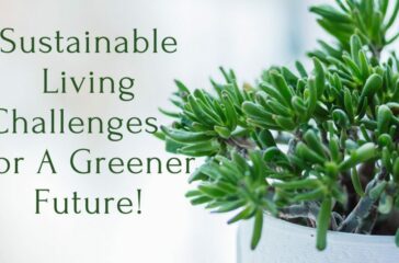 Sustainable Living Challenges