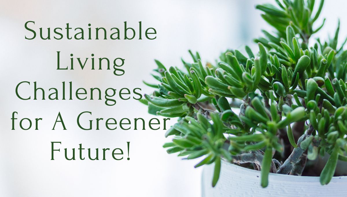 Sustainable Living Challenges