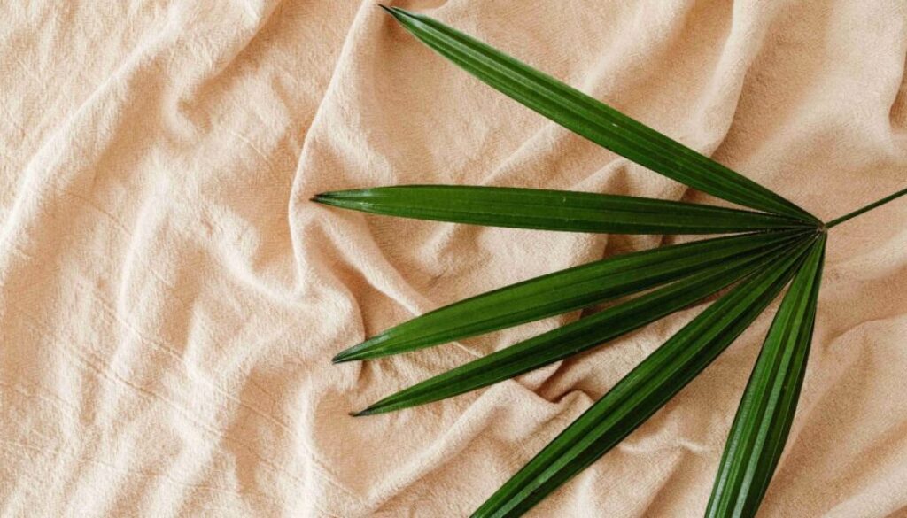 Bamboo Leaf Benefits