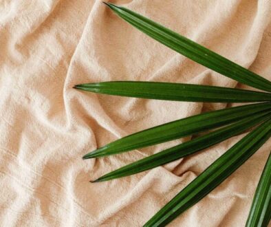 Bamboo Leaf Benefits