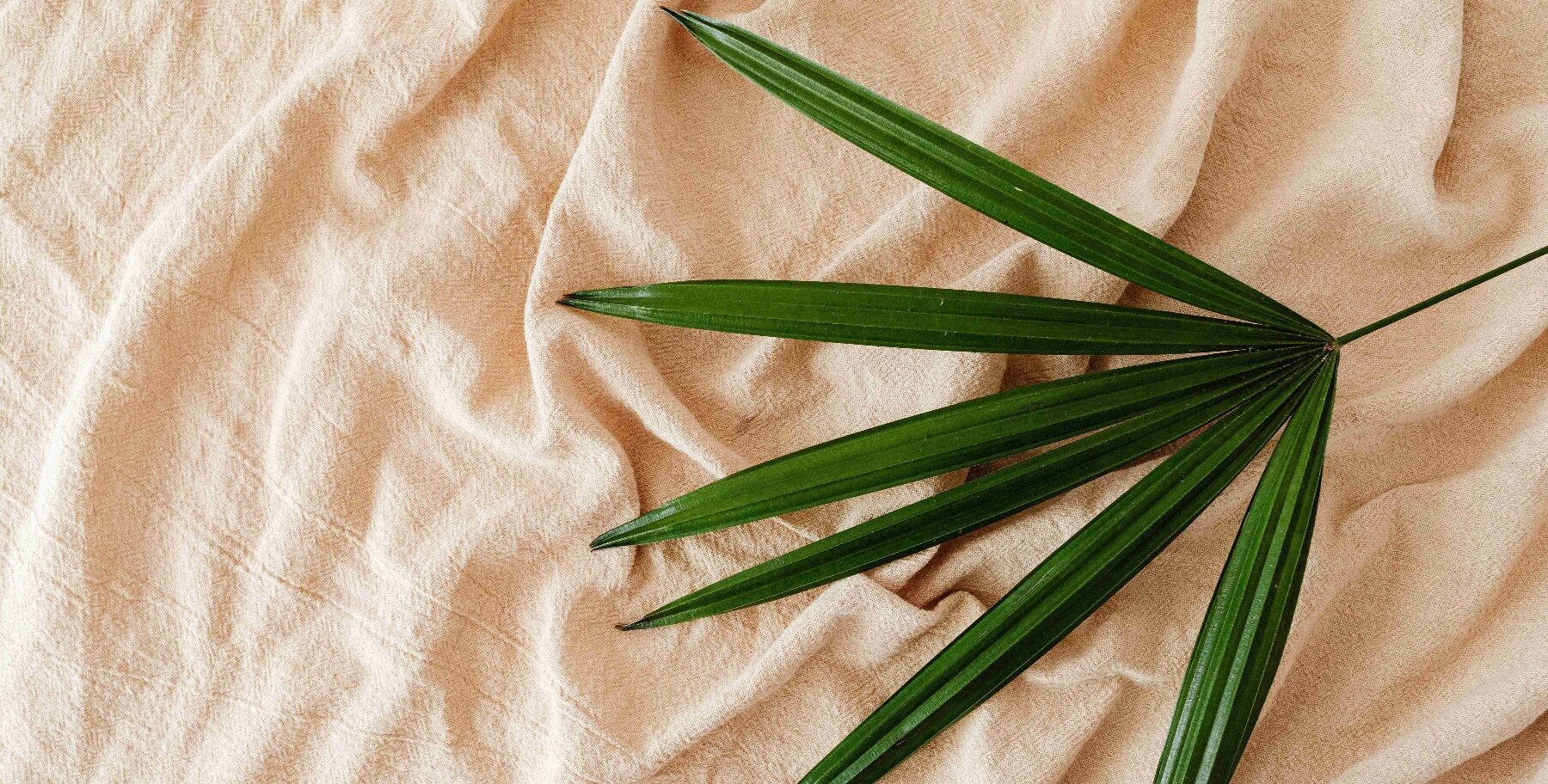 Bamboo Leaf Benefits
