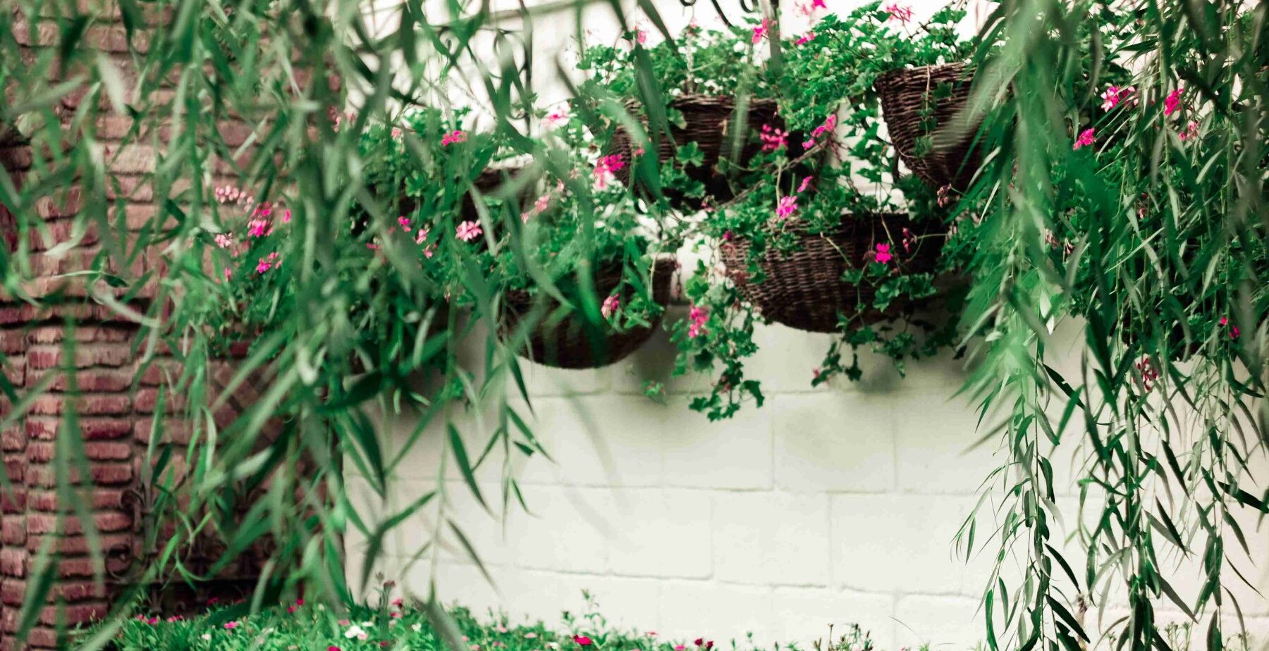 Hanging Baskets and Planters in Vertical Gardening