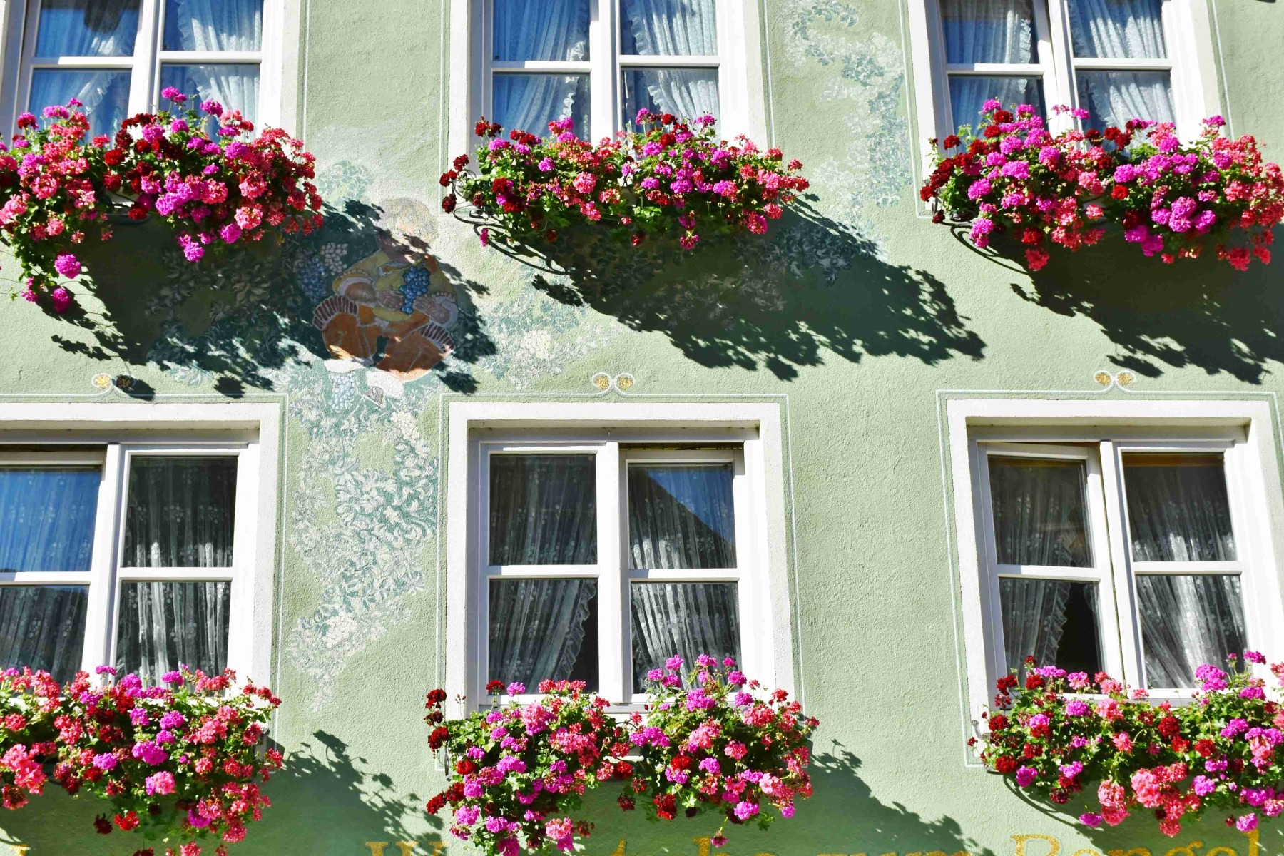 Wall-Mounted Systems vertical gardening systems hanging planters