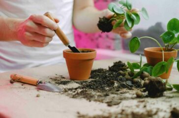 sustainable gardening tools