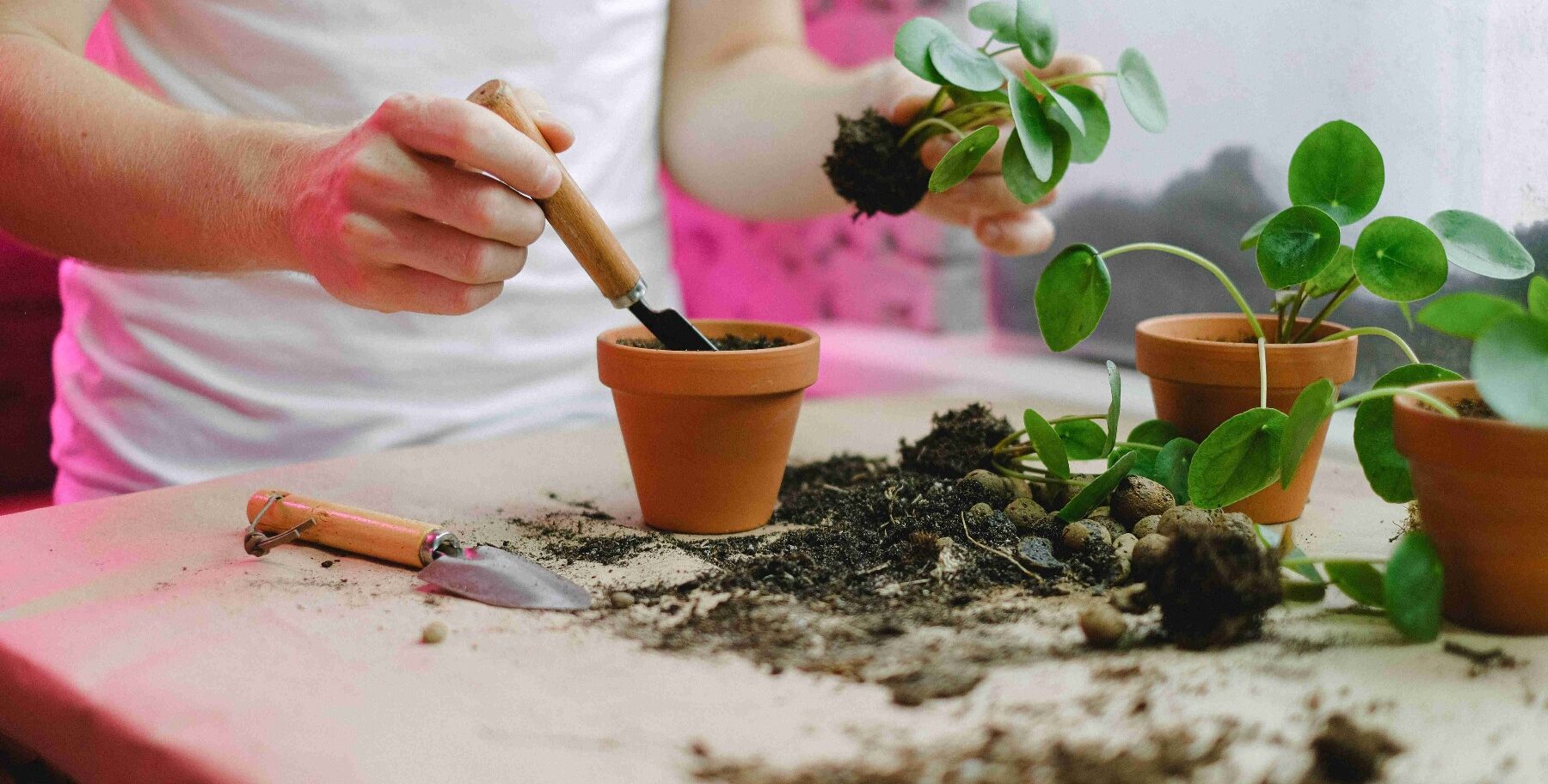 sustainable gardening tools